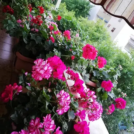 Casa Mia
