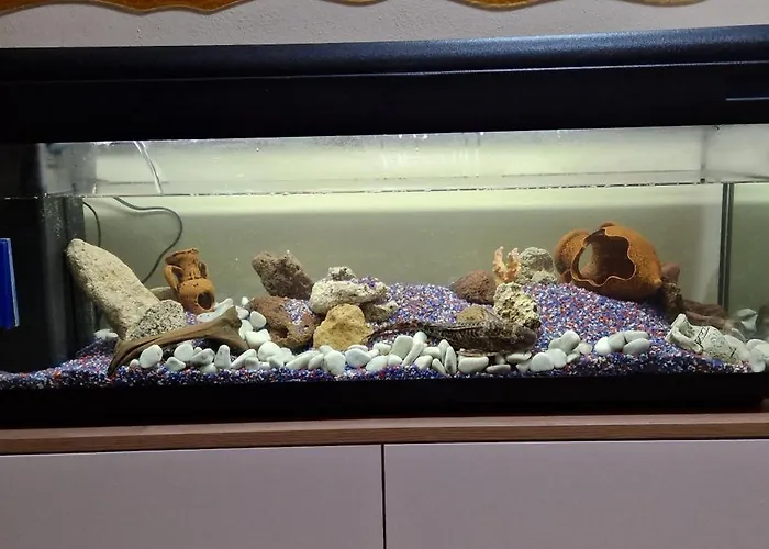 Casa Mia לינה וארוחת בוקר