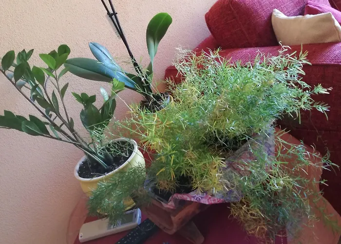 לינה וארוחת בוקר Casa Mia 3*