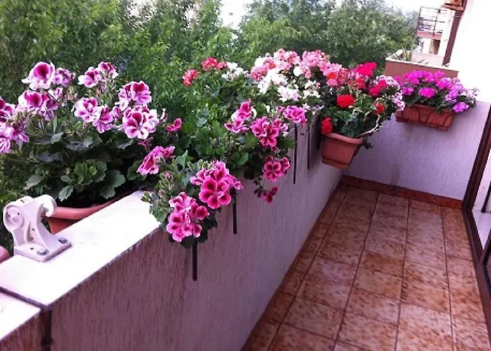 Casa Mia לינה וארוחת בוקר