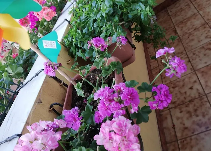 לינה וארוחת בוקר Casa Mia 3*