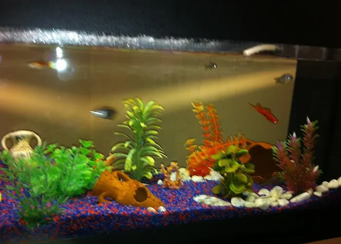 Casa Mia לינה וארוחת בוקר 3*