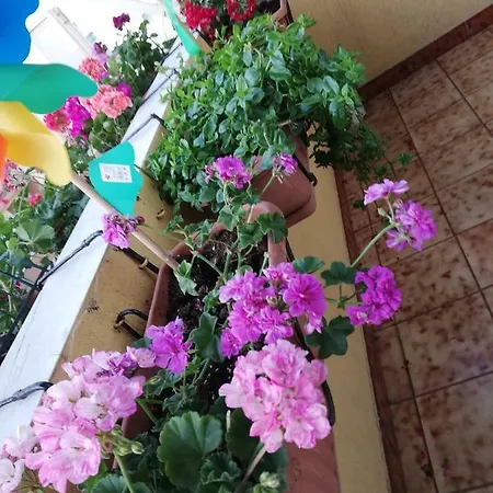Casa Mia Bed & Breakfast